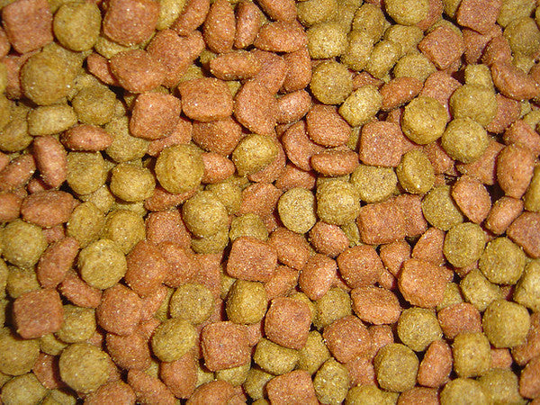 ¿Por qué la dieta BARF es superior? La opinión de un veterinario (parte II)