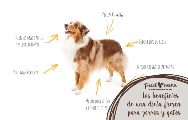 Los beneficios de una dieta cruda BARF