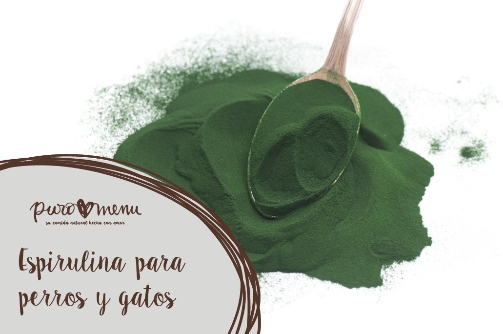Espirulina para perros y gatos