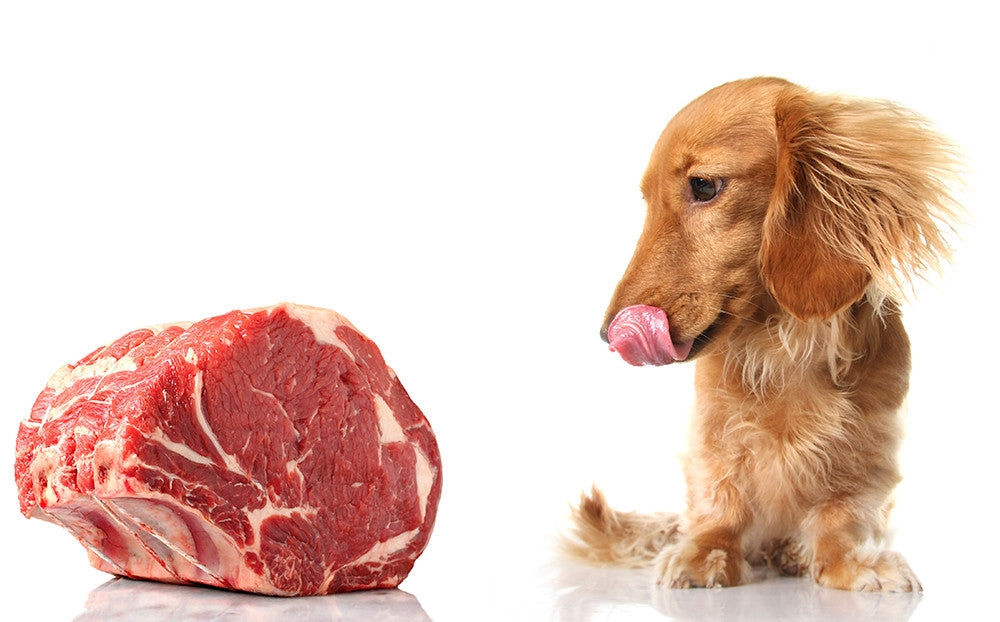 Risotto Canino
