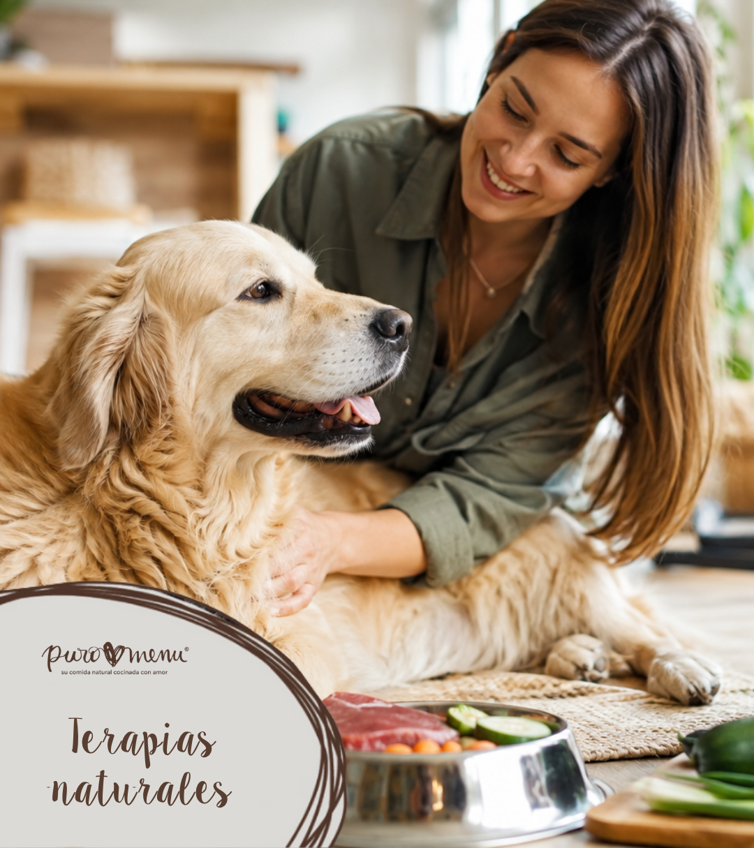 Terapias naturales para perros: 7 opciones para cuidar su bienestar