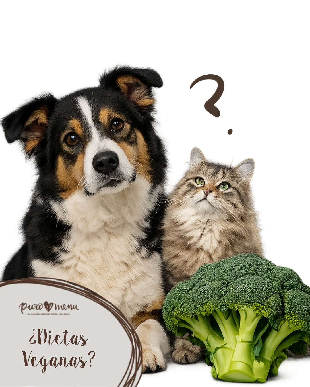 Dietas veganas para perros y gatos: ¿qué dice la ciencia y qué debes saber?