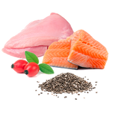 Michi Mimos BIO (Pavo y Salmón)