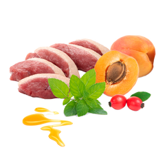 Menú Guau, qué Fiesta BIO