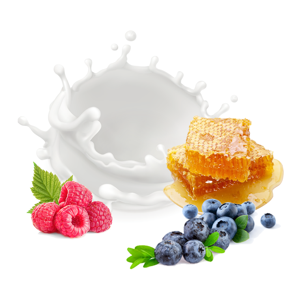 Puro Helado/Yogur "Frutos del Bosque"