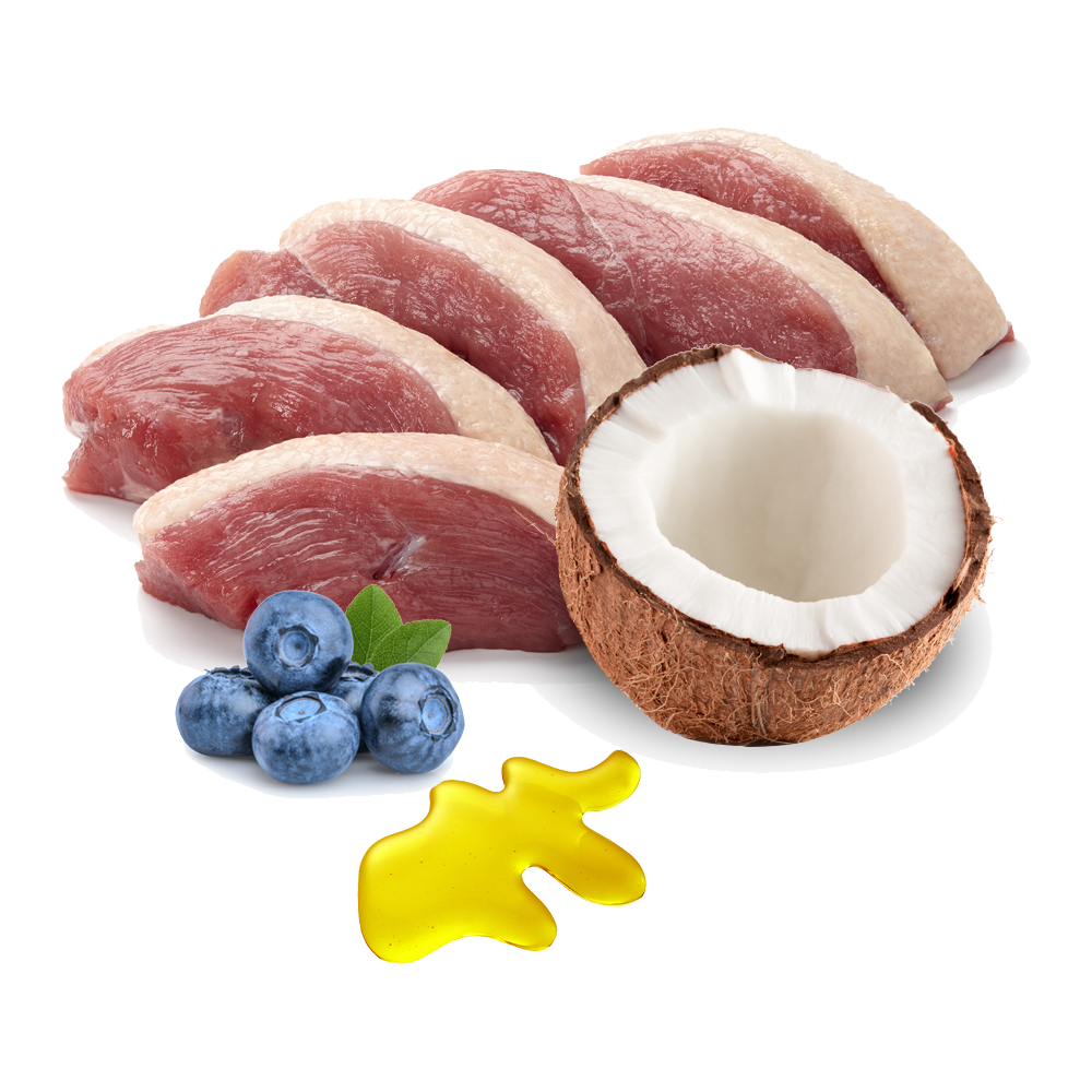 Menú Ronroneos sin Fin BIO (Pato)