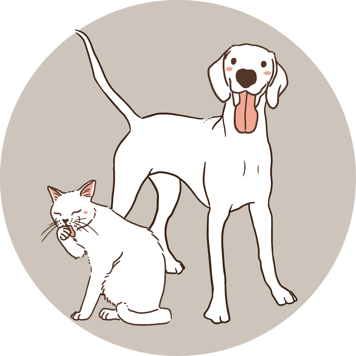 Dieta BARF para perros y gatos nutricionista Puromenu, expertos nutricionistas en la dieta BARF