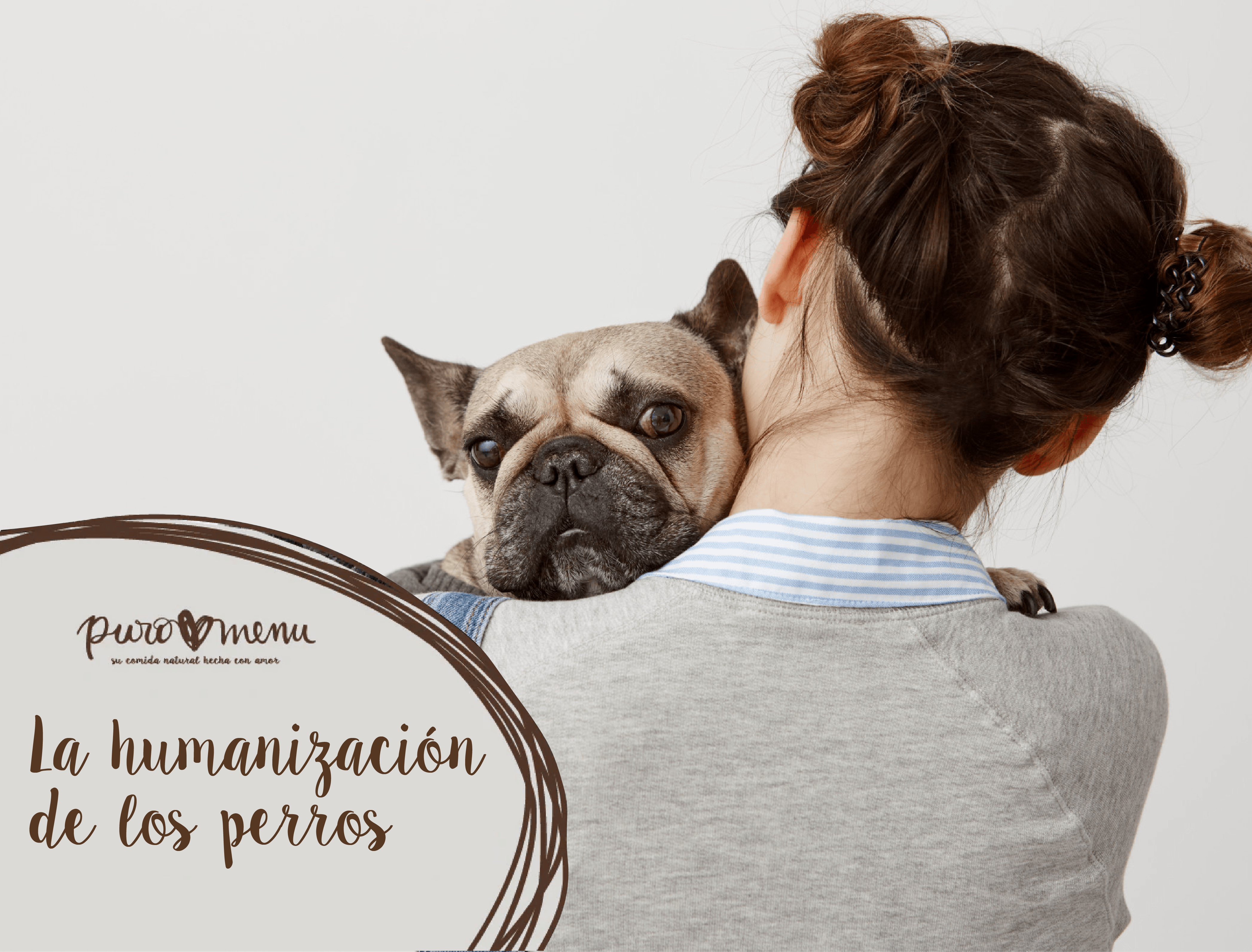 Humanización de las mascotas: una tendencia que lo cambia todo