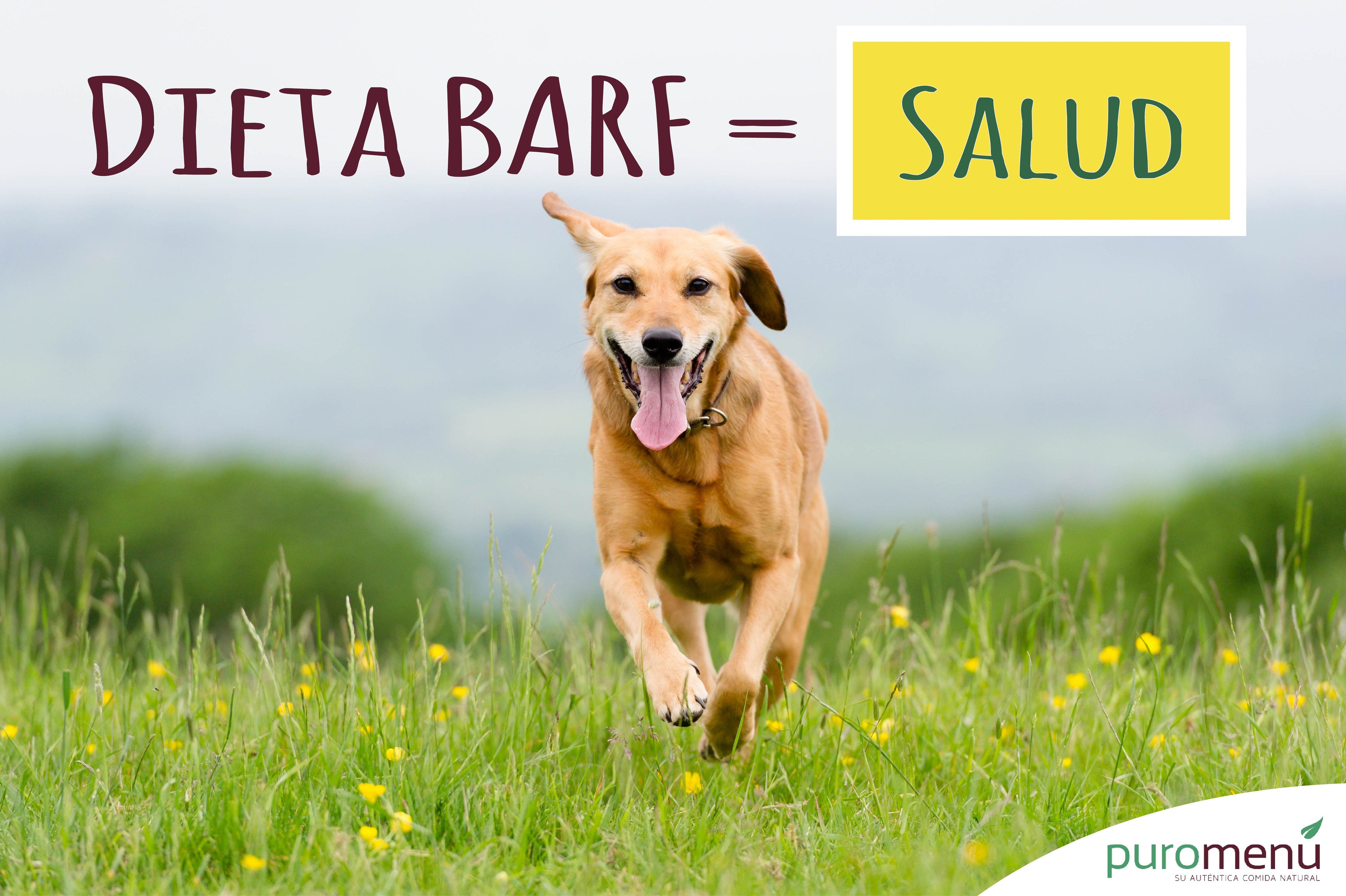 Dieta BARF = Salud y Felicidad