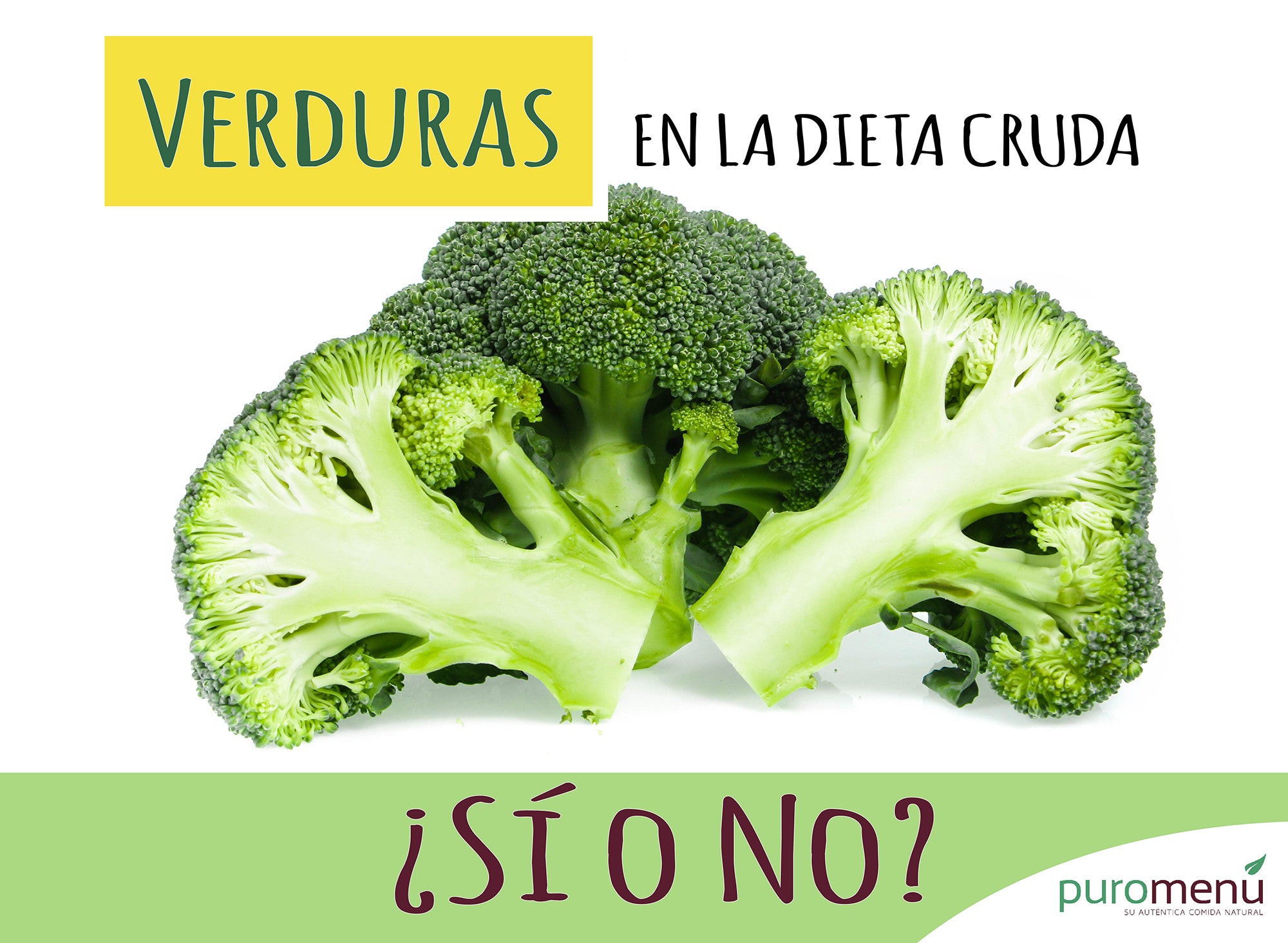 Dieta Natural Cruda: ¿Verduras sí o no?