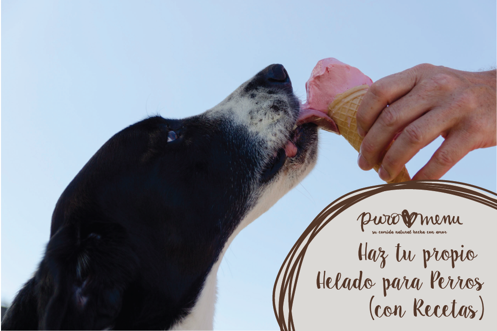 Cómo hacer Helado para Perros fácilmente en 2021 (con Recetas)