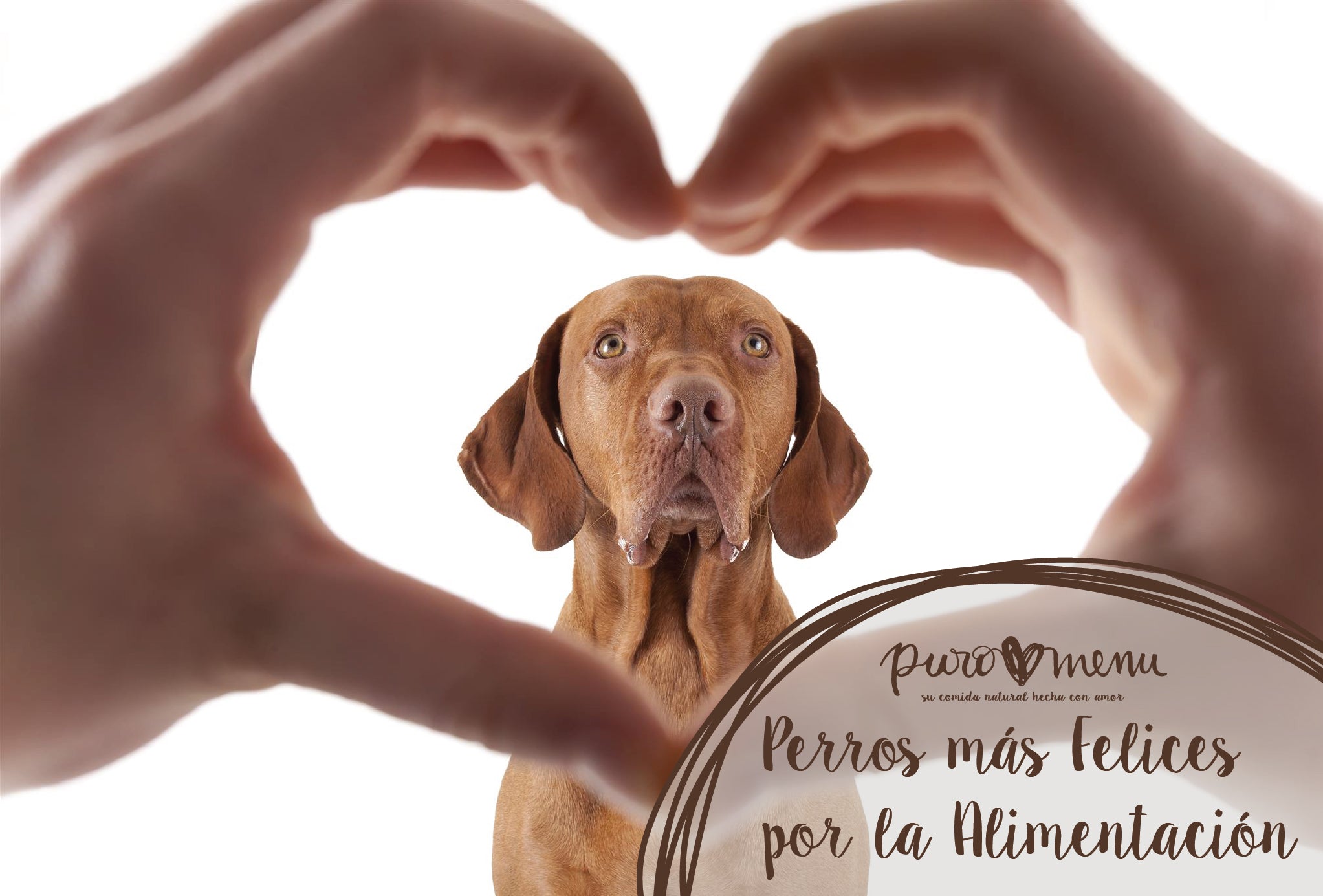 La felicidad de tu perro o gato empieza con la alimentación