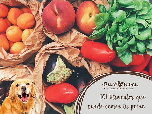 101 alimentos que tu perro puede comer (y los que no!)