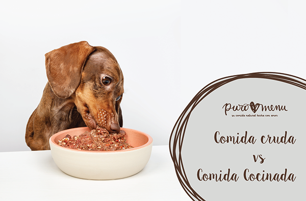 Comida cocinada vs Comida cruda para perros y gatos