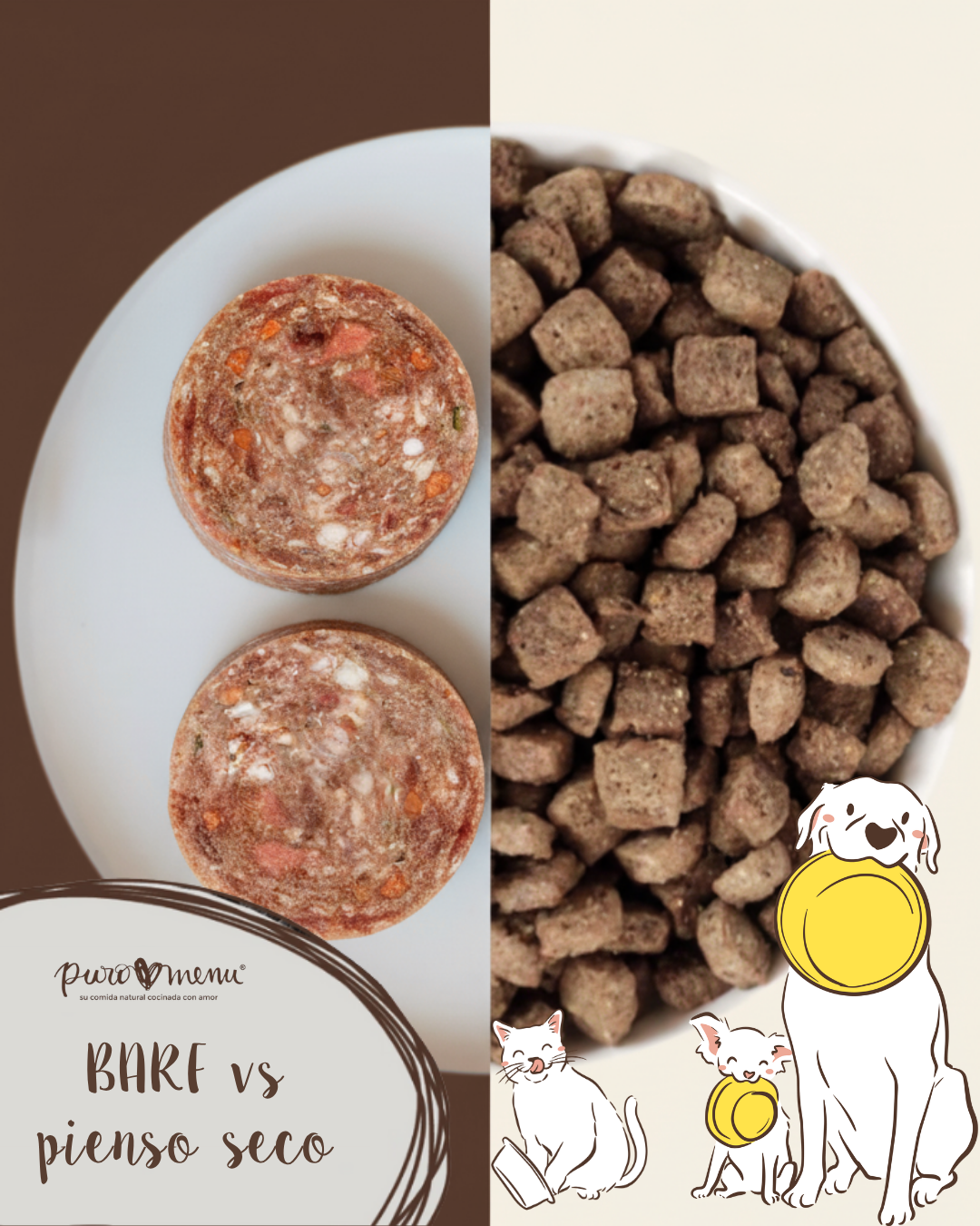 BARF vs pienso seco: ¿qué es mejor para tu perro o gato?