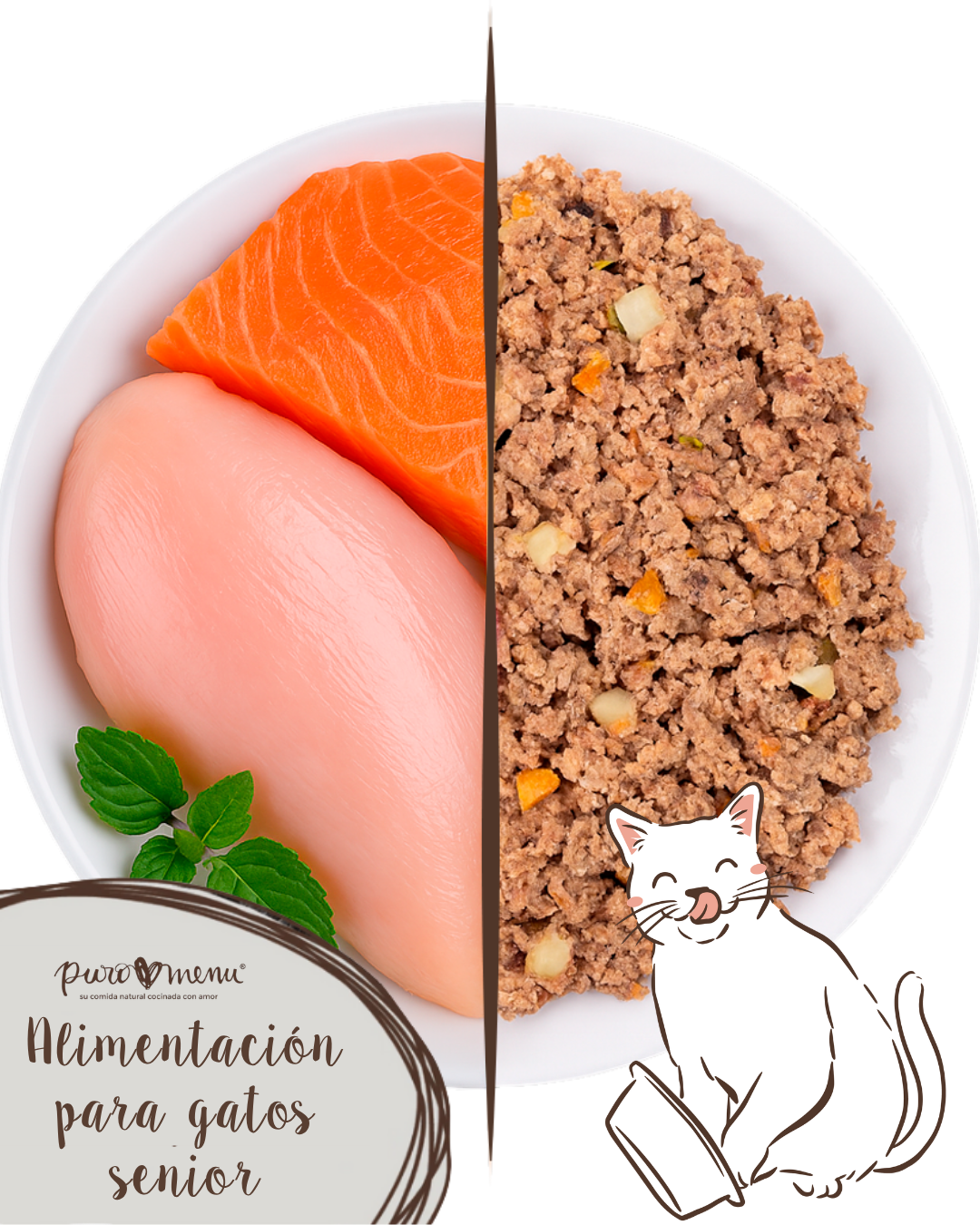 Comida natural para gatos senior: todo lo que necesitas saber
