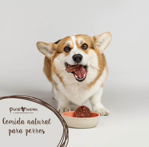 Comida natural para perros