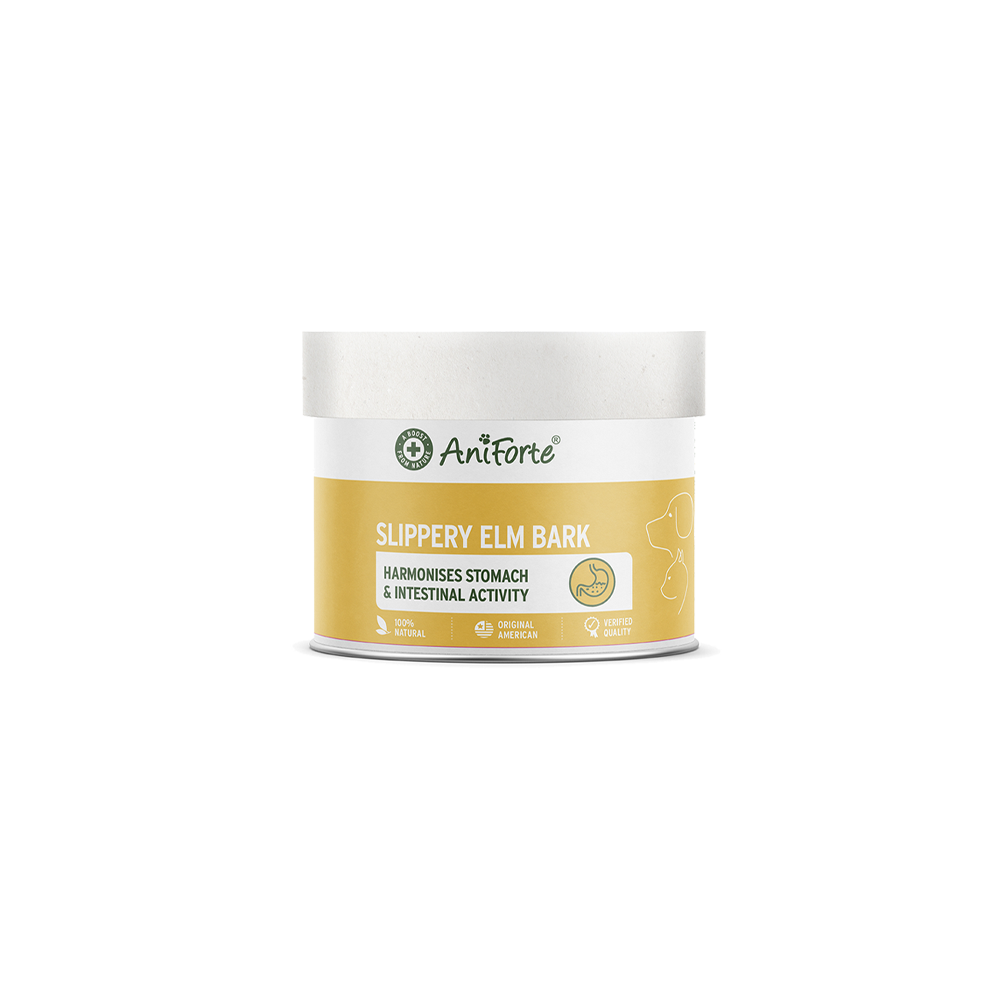 Corteza de Olmo, 100g