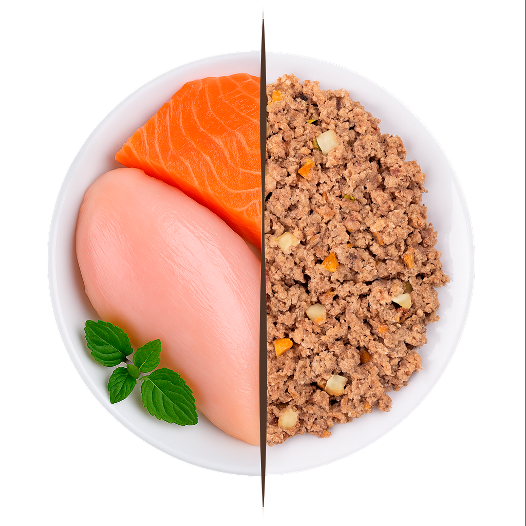 Menú Pollo y Salmón Delicat