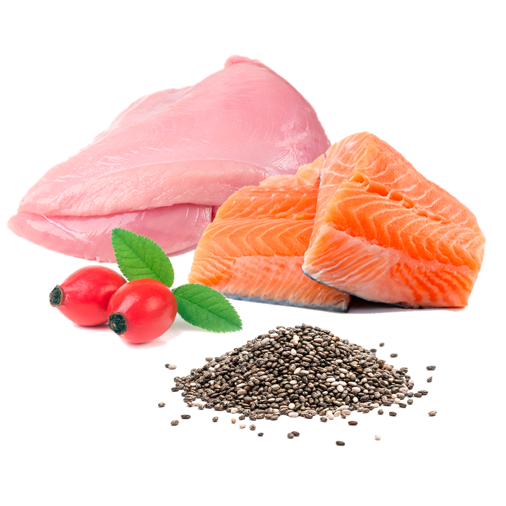 Michi Mimos BIO (Pavo y Salmón)