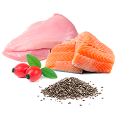 Michi Mimos BIO (Pavo y Salmón)