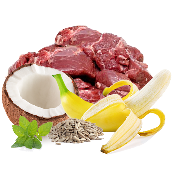 Menú Ambrosía de Ciervo